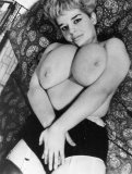 Click to view big image RetroPlumper13.jpg